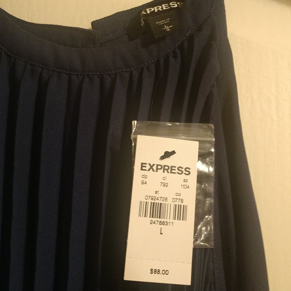 EXPRESS Pleated Trapzee Dress